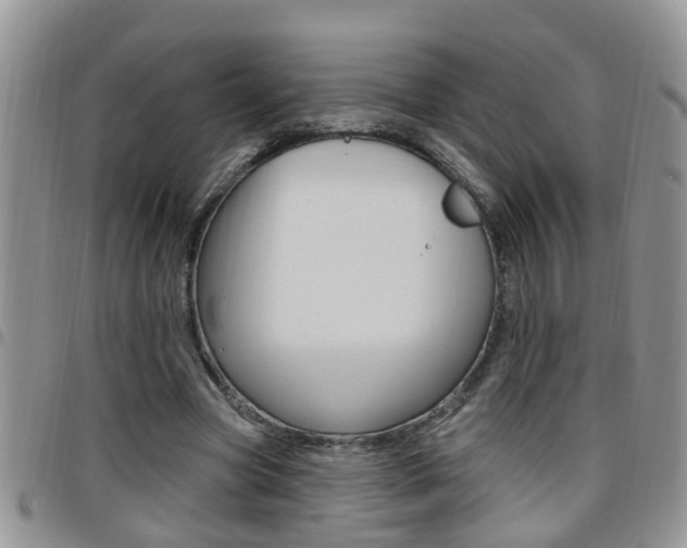 X0000096190537200801181010