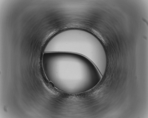 X0000096190538200801181010