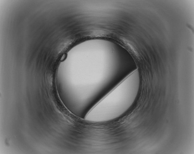 X0000096190539200801181010