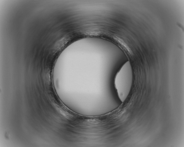X0000096190541200801181011