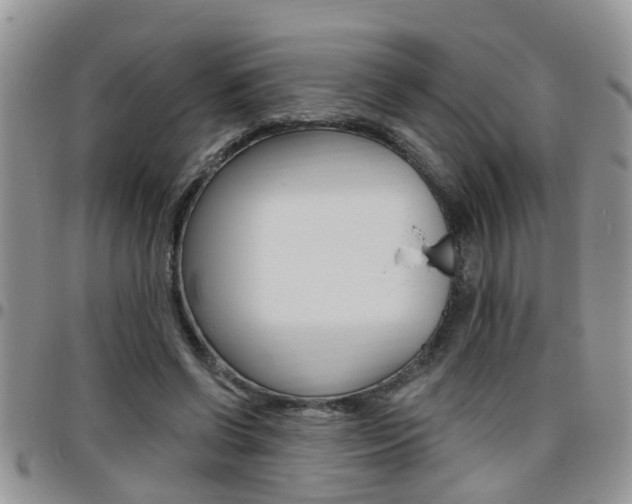 X0000096190542200801181011