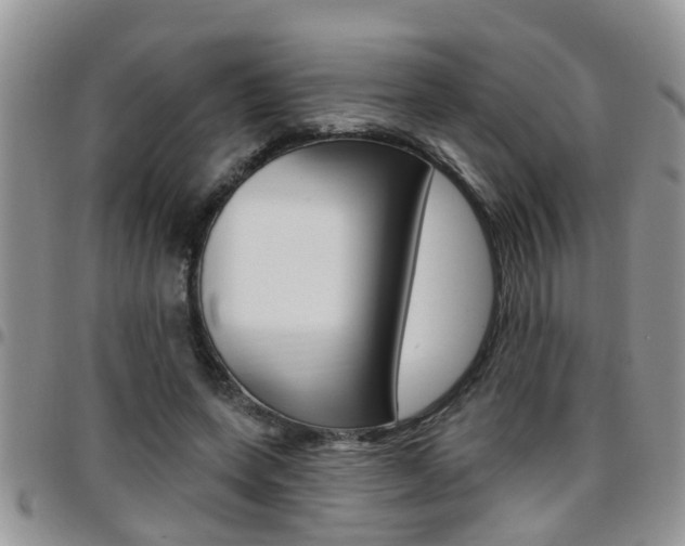 X0000096190543200801181011