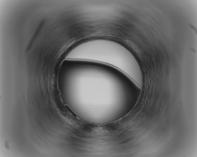 X0000096190544200801181011