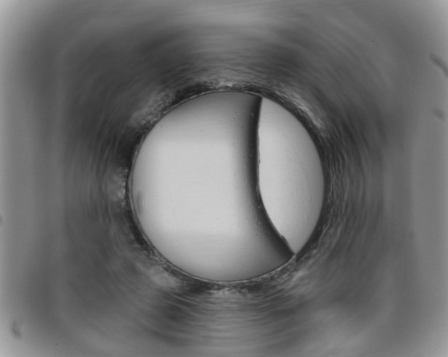 X0000096190545200801181011