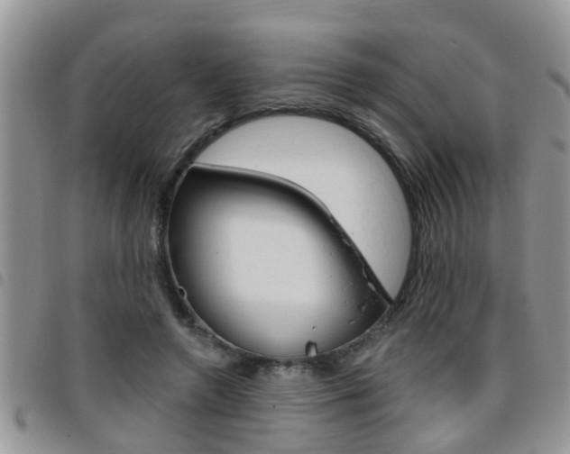 X0000096190546200801181011