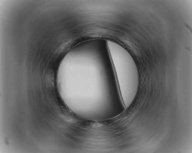 X0000096190547200801181011