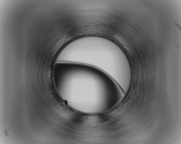 X0000096190548200801181011