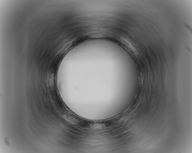 X0000096190549200801181011