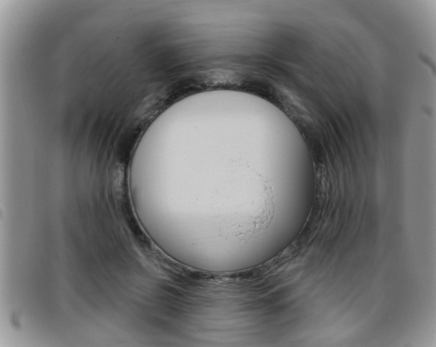 X0000096190550200801181011