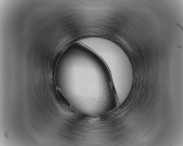 X0000096190552200801181011