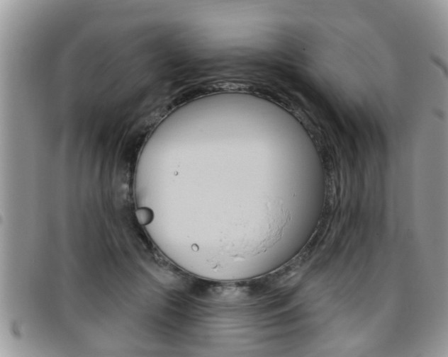 X0000096190553200801181011