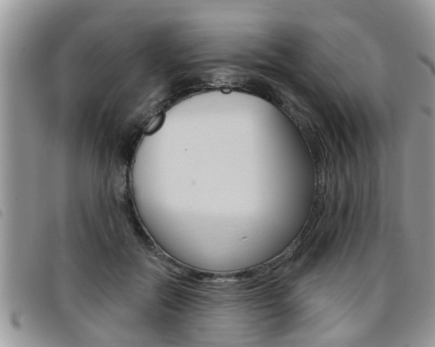 X0000096190554200801181011
