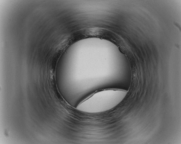 X0000096190555200801181011