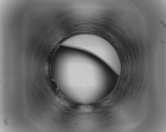 X0000096190556200801181011