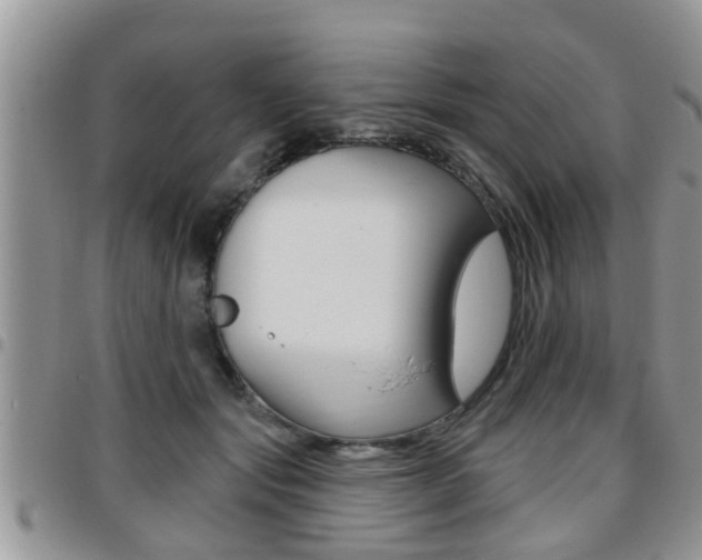 X0000096190557200801181011