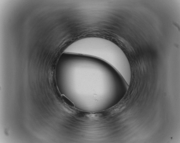 X0000096190558200801181011