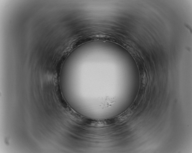X0000096190559200801181011