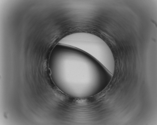 X0000096190560200801181011