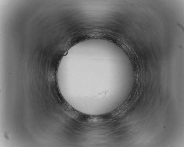X0000096190561200801181011