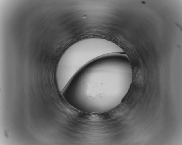 X0000096190562200801181011