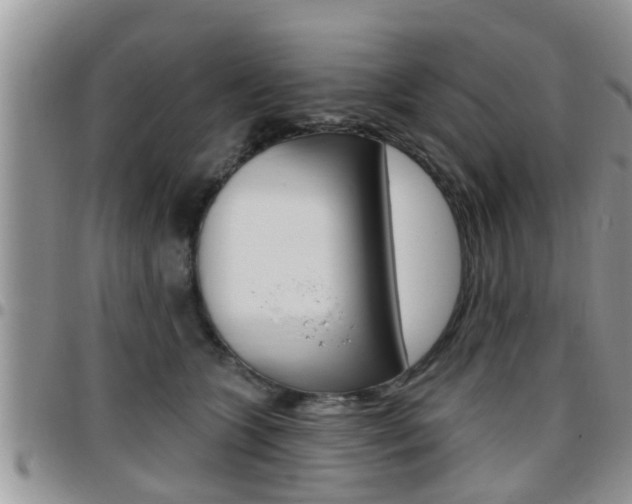 X0000096190563200801181011