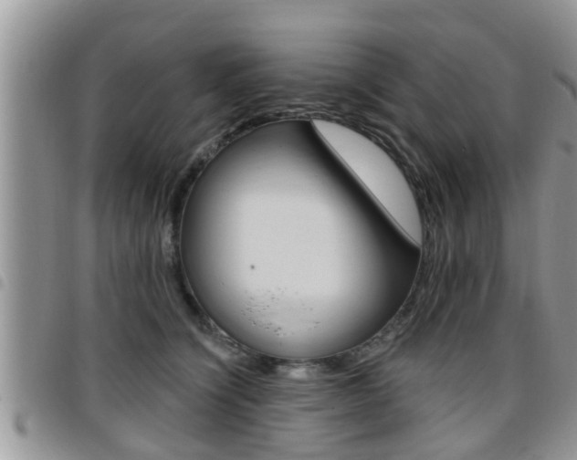 X0000096190564200801181011