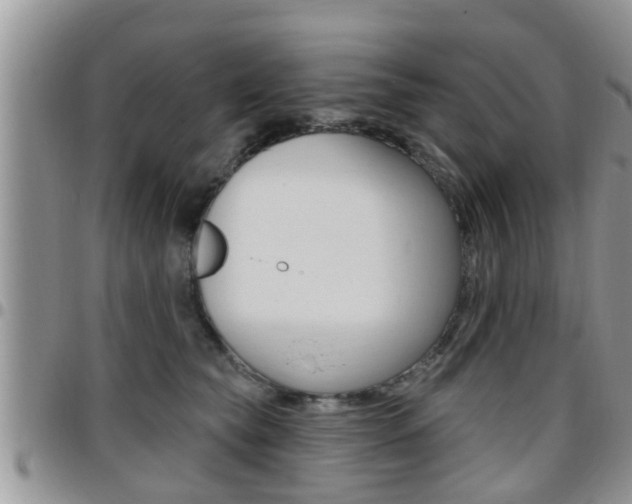 X0000096190565200801181011