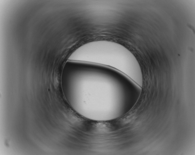 X0000096190566200801181011