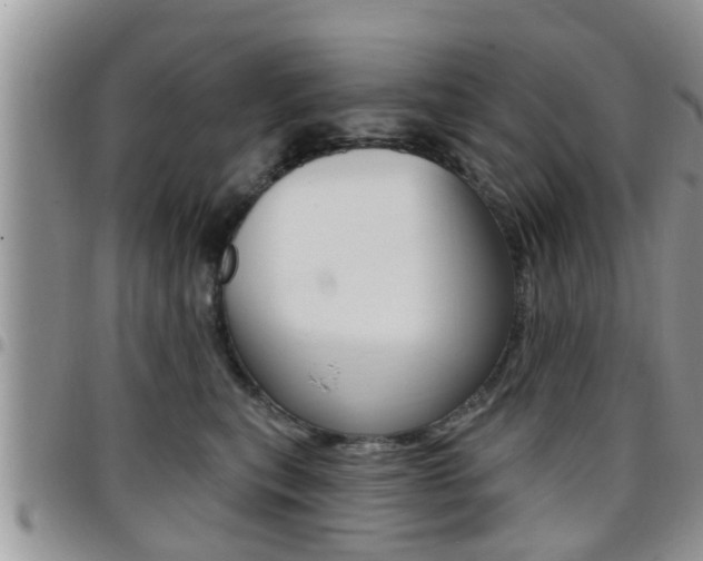 X0000096190567200801181011