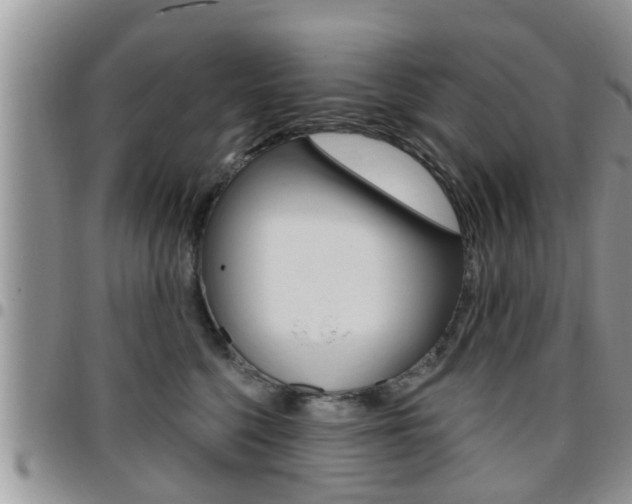 X0000096190568200801181011