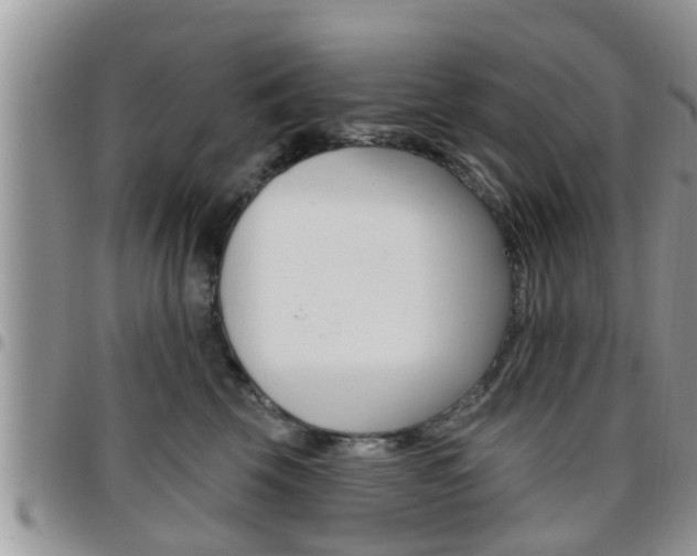 X0000096190569200801181011