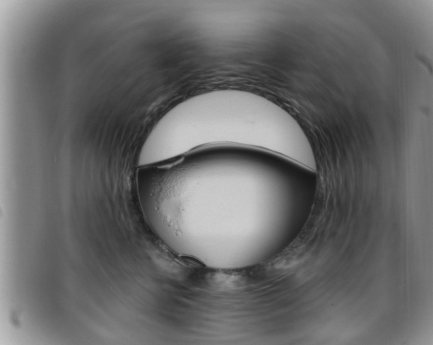 X0000096190570200801181011