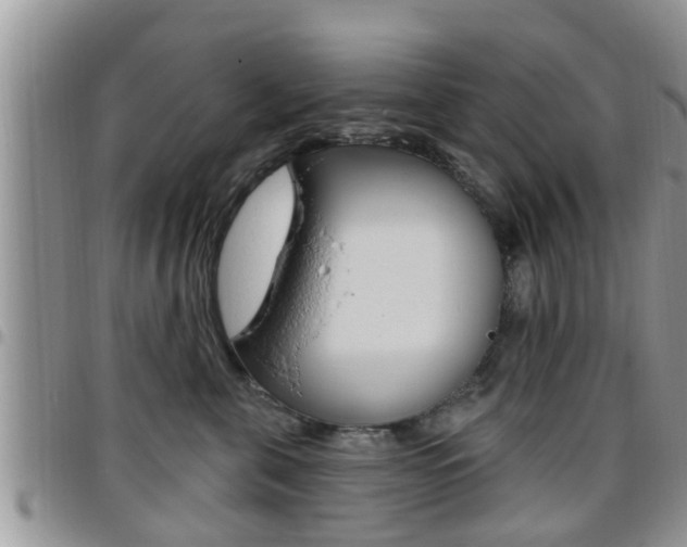 X0000096190571200801181011