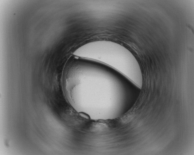 X0000096190572200801181011