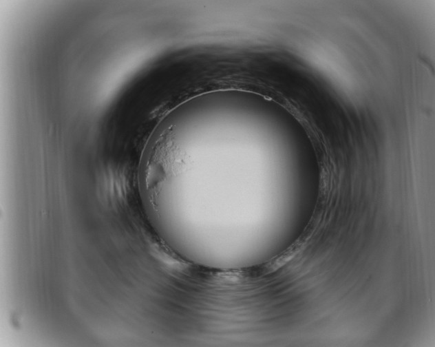 X0000096190574200801181011