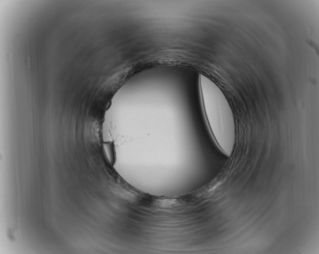 X0000096190575200801181011