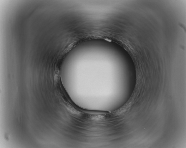 X0000096190576200801181011