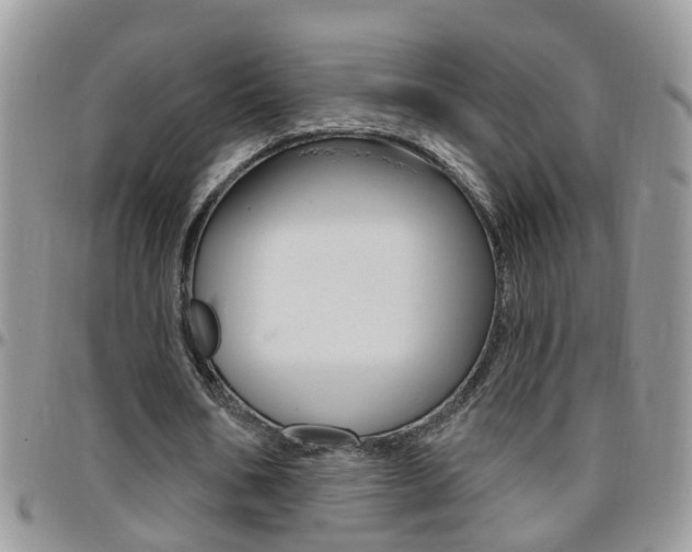 X0000096190578200801181010