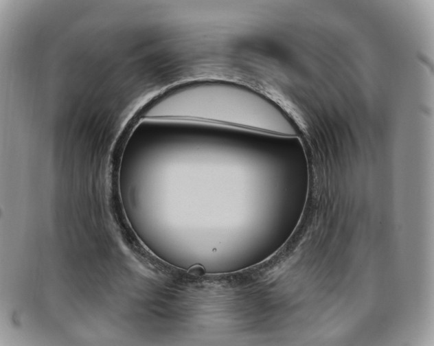 X0000096190580200801181010