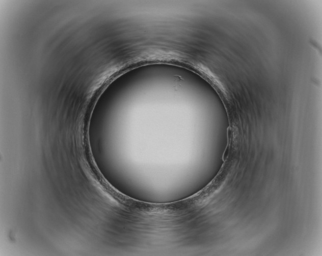 X0000096190581200801181010