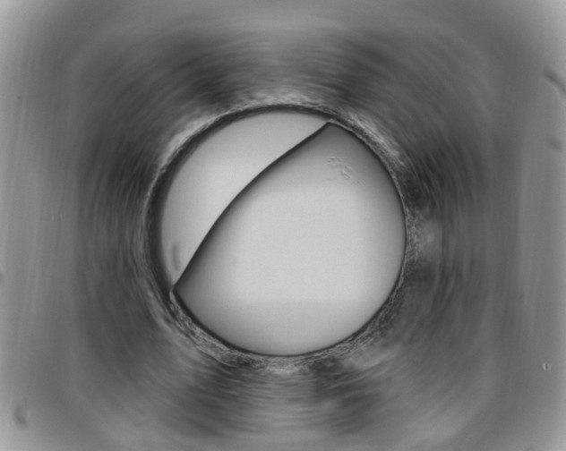 X0000096190583200801181010