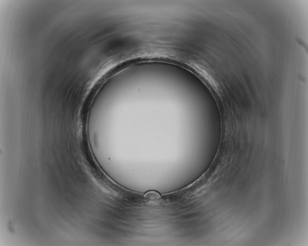 X0000096190584200801181010