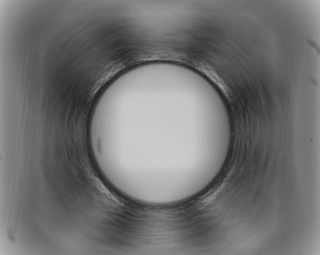 X0000096190585200801181010