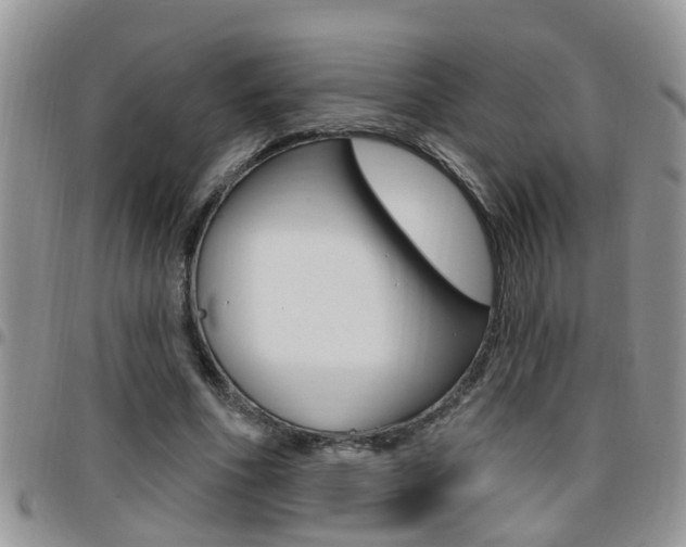 X0000096190586200801181010