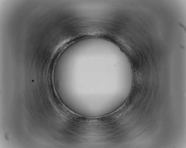X0000096190587200801181010