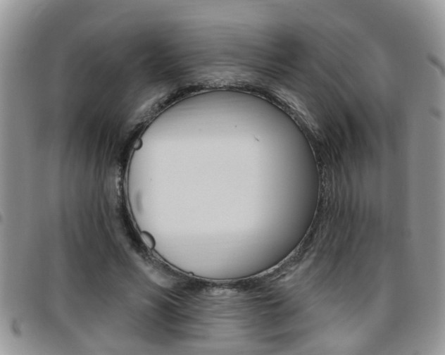 X0000096190590200801181010