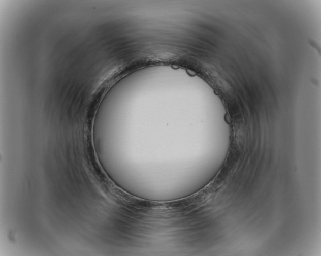 X0000096190591200801181010