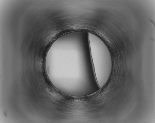 X0000096190592200801181010