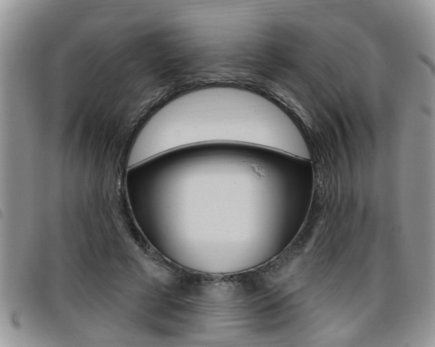 X0000096190593200801181010