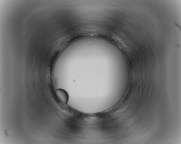 X0000096190594200801181010